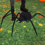 Black Widow spider
